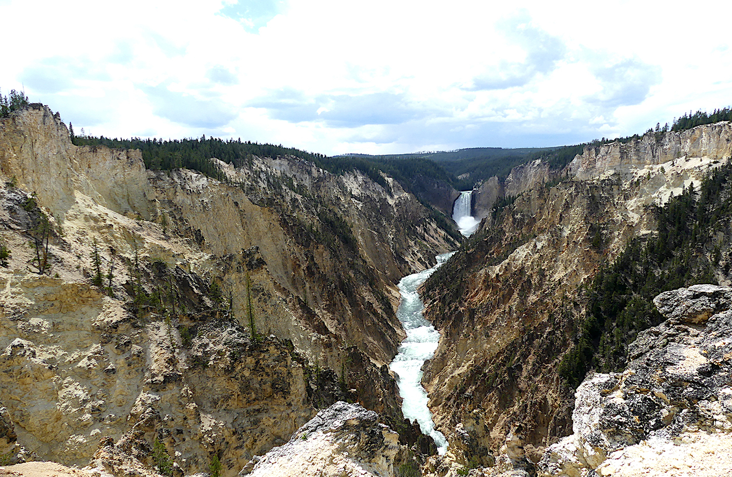 Estados Unidos: Expedición Parque Nacional Yellowstone