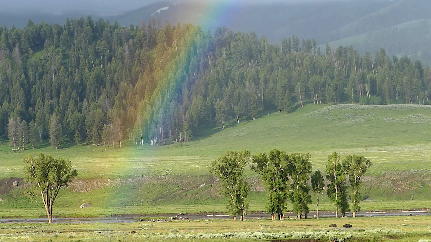 Estados Unidos: Expedición Parque Nacional Yellowstone