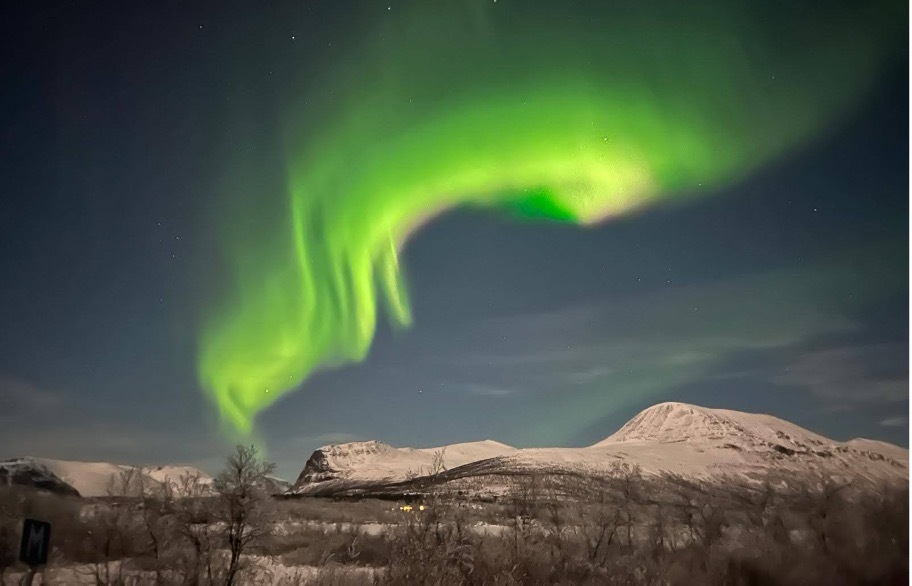 Noruega: Svalbard · Osos Polares y Auroras Boreales