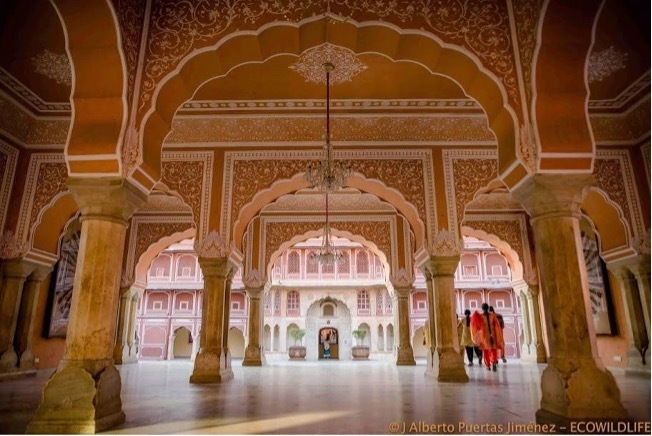 India: Miradas de la India Agosto'25