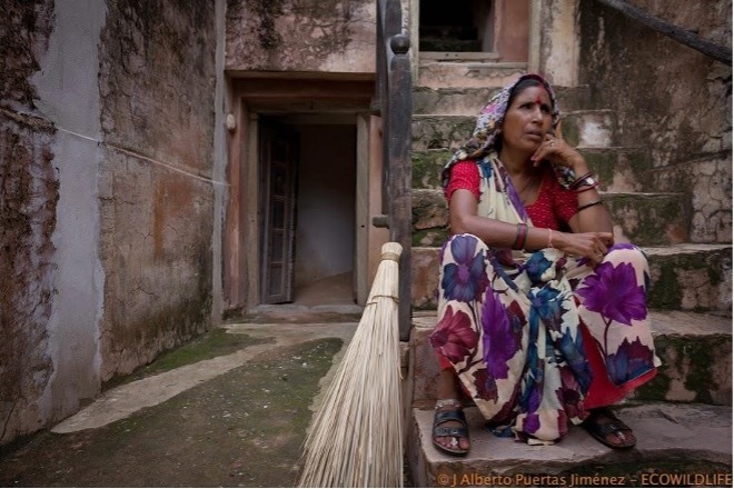 India: Miradas de la India Agosto'25