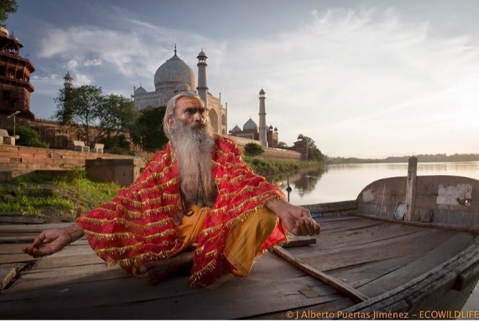 India: Miradas de la India Agosto'25