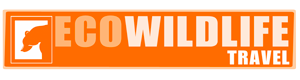 Ecowildlife logo good
